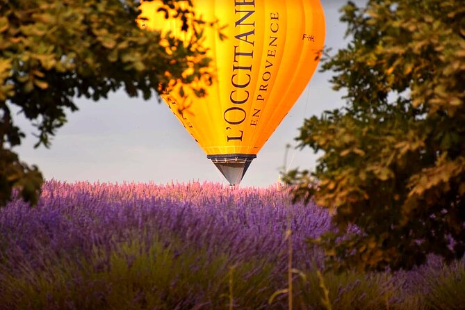 E-bike & Balloon Ride - Reviews and Ratings