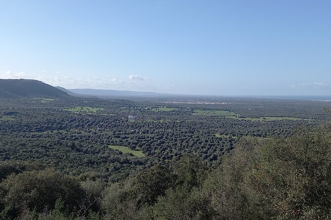 E-Bike Tour in the Plain of the Secular Olive Trees of Ostuni - Panoramic Walk Details