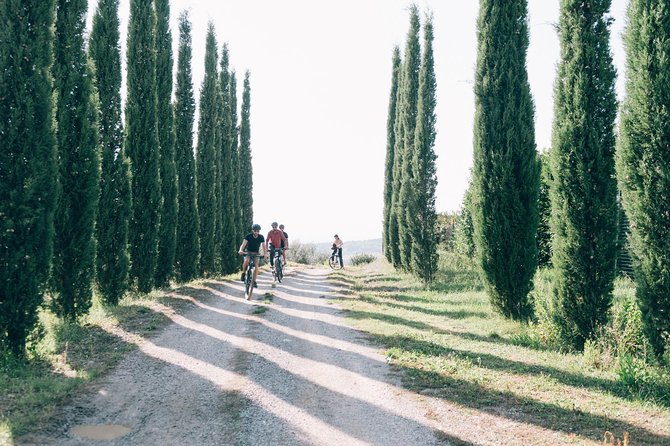 E-Bike Tour in Tuscany With Wine Tasting - Exploring Vineyards and Local Farms
