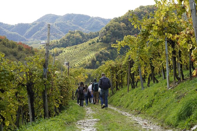 E-Bike Tour in Valdobbiadene With Wine Tasting and Typical Food - Quality Food and Wine