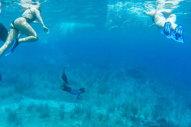 E-bike West Coast Snorkeling Tour - Participant Requirements