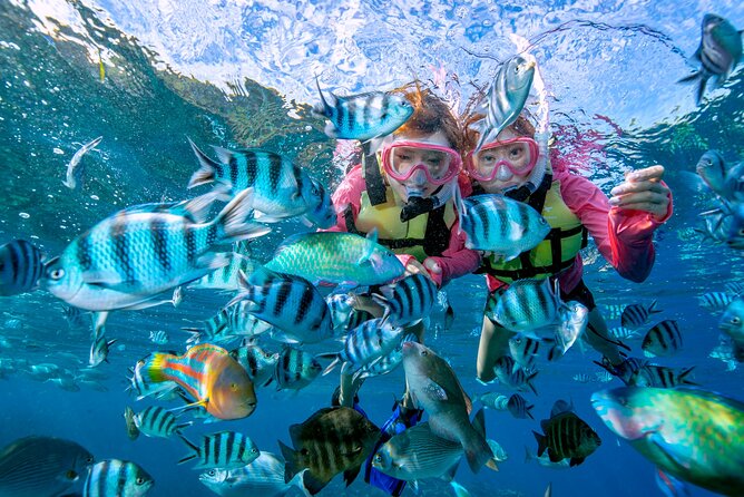 Easily Set Sail by Boat! / Blue Cave Snorkel - Health and Safety Guidelines