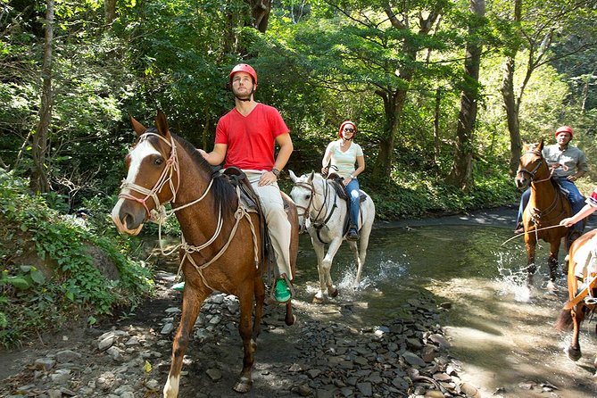 Eco-Adventure Park Premium Day Pass - Booking and Pricing