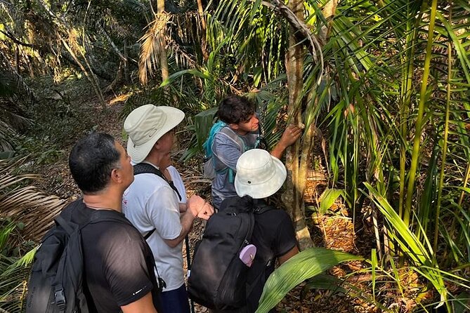 Ecohike Experience Through the Jungle, Mountains and Hidden Beach - Participant Experiences