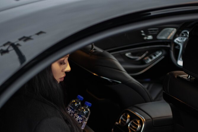 Economy Transfer From Stockholm City to Arlanda Airport - Accessibility Features