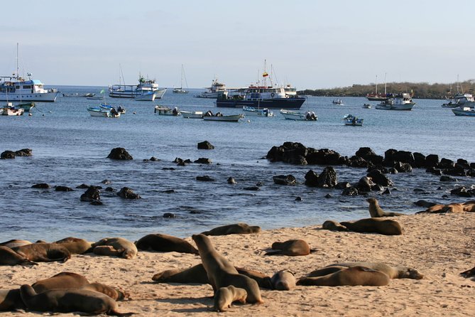 Ecuadorian Experience Quito - Galápagos 8 DAYS 7 NIGHTS - Taking in Local Culture