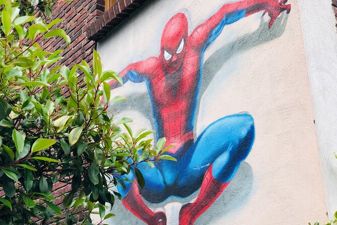 Eindhoven: Self Guided Individual Street Art Tour - Pricing and Booking