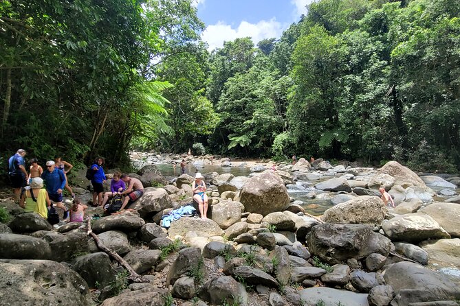 El Yunque National Forest - The Road 191 Corridor - Half Day Tour - Tour Experience