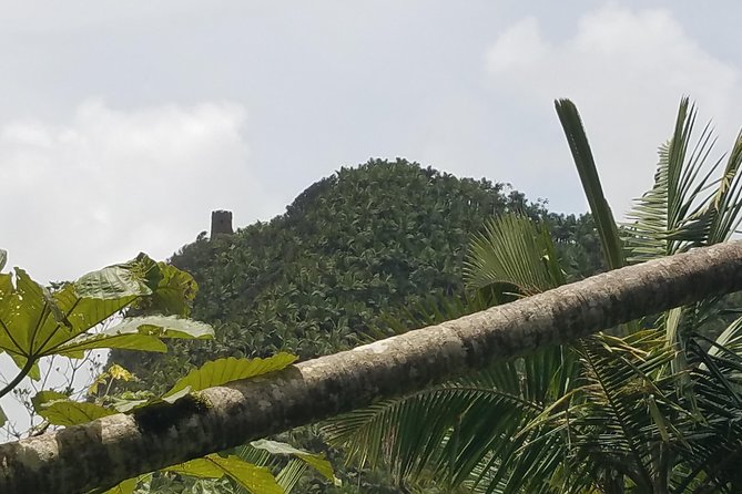 El Yunque Rainforest Full Day Private Tour - Exploring the Rainforest Terrain