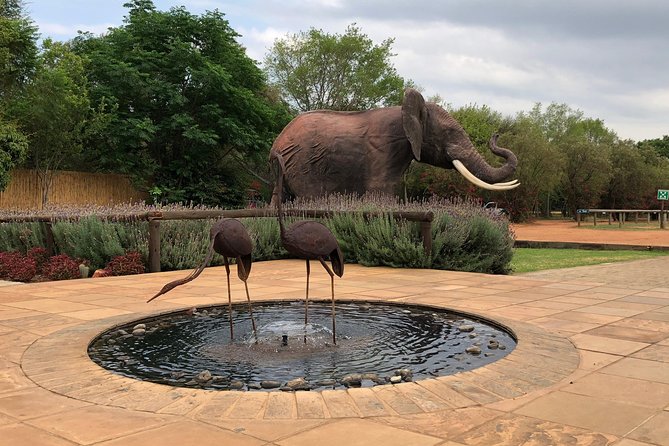 Elephant Sanctuary Tour From Johannesburg - Safety and Accessibility