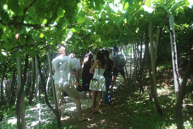 Enchanted Vineyards, Wine 4x4 Tour and Sea Cliff Cabo Girão - Participant Guidelines