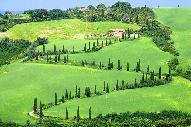 Enjoy a Wine Tasting After a Cycling Excursion in the Magic of Tuscany - Elevate Your Experience With E-Bikes