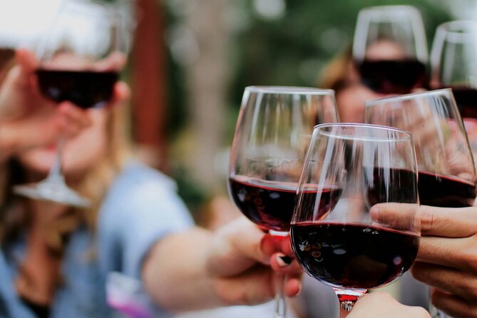 Enjoy Saint-Emilion With a Wine Tasting in 5 Hours. Keep Cool and Discover - Discover the Vineyards