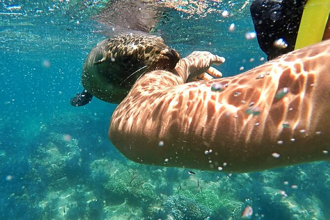 Espiritu Santo Island Day Tour - Suggestions for Improvement