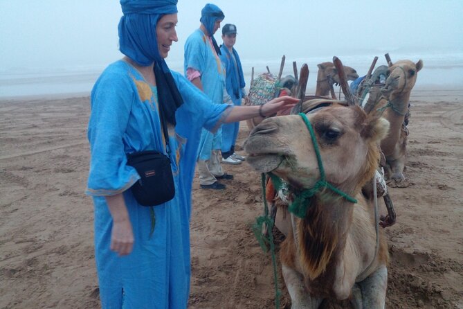 Essaouira: 1 Hour Dromedary + 2 Hours Quad - Essaouira Landscapes