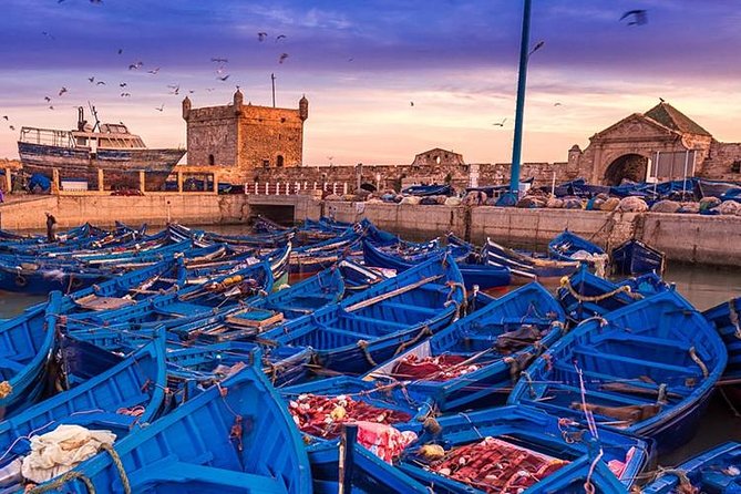 Essaouira Day Trip From Marrakech - Traveler Reviews and Feedback