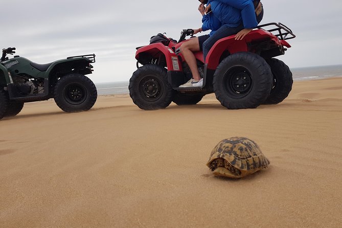 Essaouira: Quad Excursions / 1/2 Day (Free Transfer) - Accessibility and Restrictions