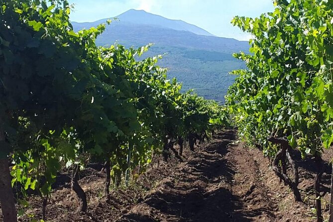 Etna Excursion and Wine Tasting With Sicilian Lunch - Flexible Cancellation Policy
