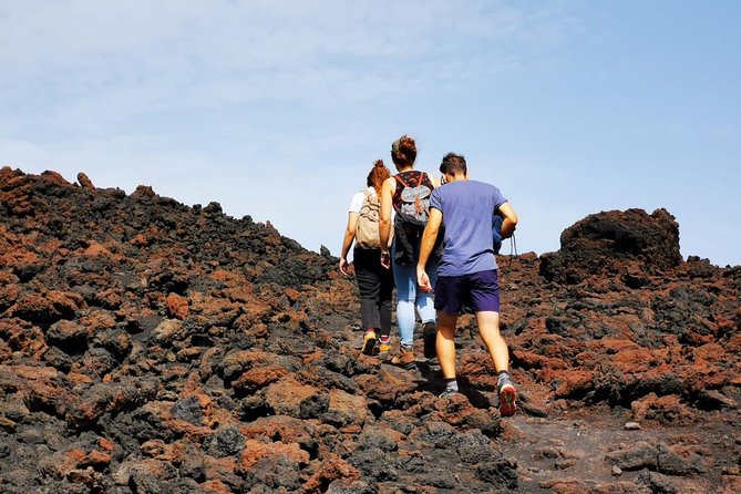 Etna Trekking and Wine Tasting - Activity Requirements and Accessibility