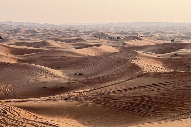 Evening Desert Safari Abu Dhabi With Dinner - Pricing Structure