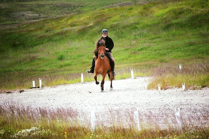 Exclusive Riding Program for Advanced Horse Riders - Give Me 5! - 2 to 3 Hours - Customer Support and Assistance