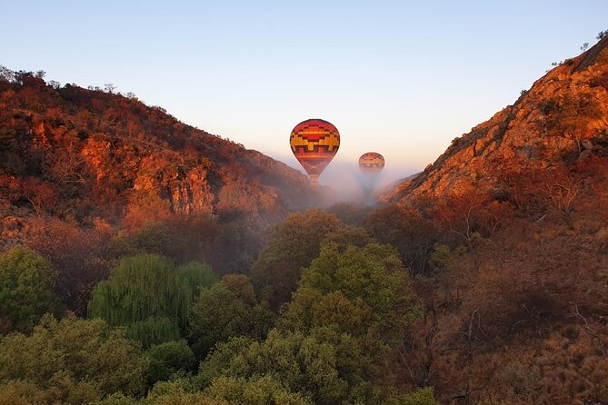 Exclusive Safari Flight - Booking Requirements