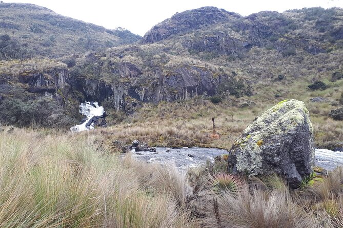 Excursion Day Cajas National Park From Guayaquil - Accessibility and Participation