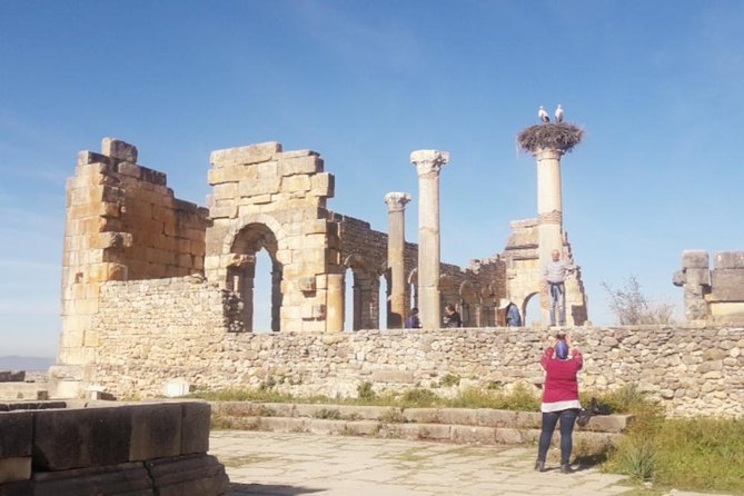 Excursion Meknes Volubilis - Traveler Reviews