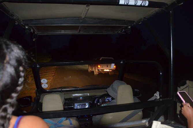 Exhilarating 7 Day Kruger Safari Adventure - South to North - Savor Local Cuisine