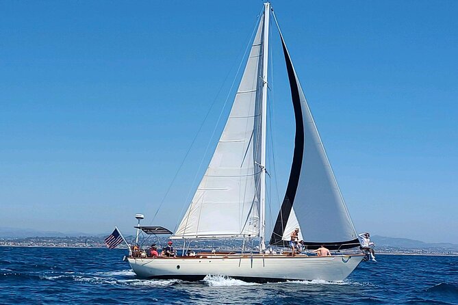 Experience Oceanside Sailing With Whales and Dolphins! - Booking Process Explained