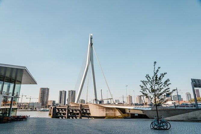 Explore Rotterdam'S History and Architecture on Private Walking Tour - Booking Information