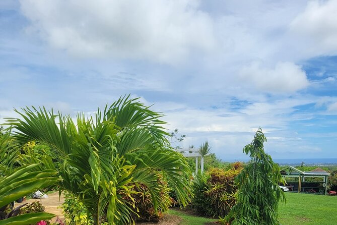 Explore Tropical Fruits & Flowers on Barbados Premier Eco-tour! - Pricing and Cancellation