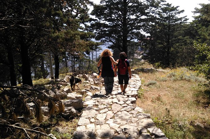 Faito Trek Tour, Cable Car Excursion and Scenic Trails - Booking and Cancellation