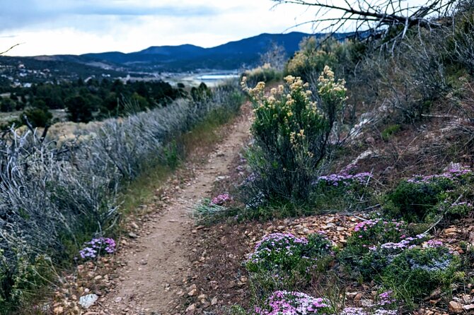 Family-Friendly Nature Hike Around the Big Bear Valley - Schedule and Operating Hours