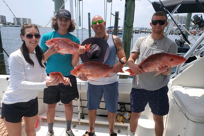 Family Fun Combo: Dolphins, Fishing & Swimming (Flowing Water Charters) - Customer Reviews and Highlights
