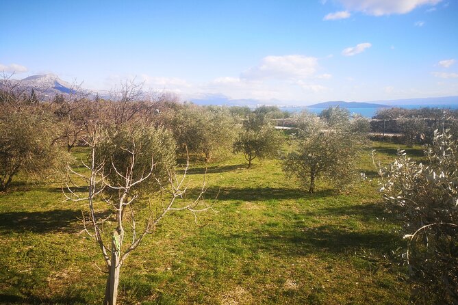 Family-Run Vineyard Tour Review: A Delightful Experience - Health and Safety