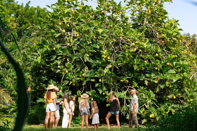 Farm and Food Experience in Kilauea - Educational Insights