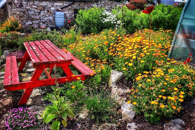 Farm to Table Experience and Irish Cooking Class in Galway - Participant Reviews
