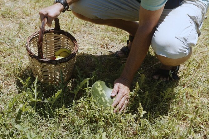 Farm to Table - Local Cooking Experience - Authentic Greek Cooking Class