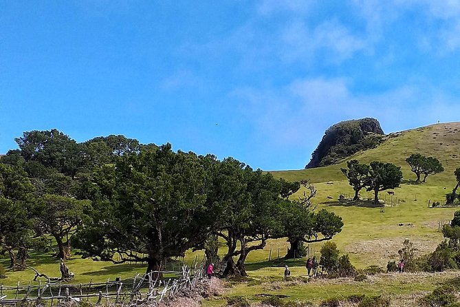 Fascinated Landscapes Northwest 4x4 Excursion - Booking Information