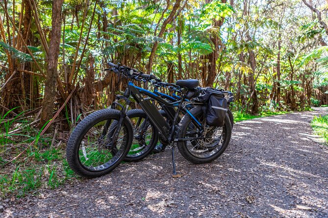 Fat Tire E-Bike Rental - Volcanoes National Park - Meeting and Pickup Details