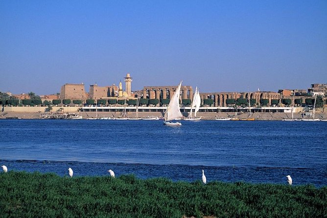 Felucca in Luxor Amazing Sunset Sailing {Private} 2 Hours - Booking and Availability