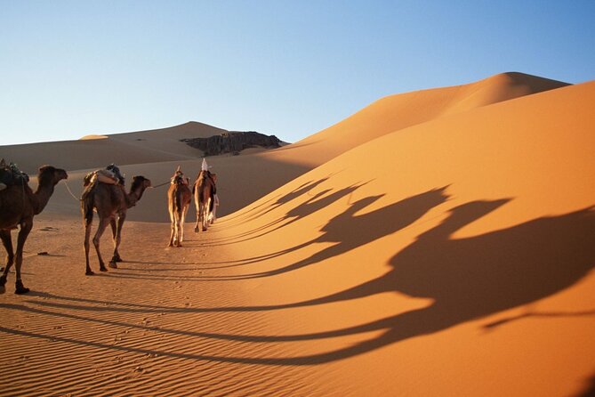 Fes 3 Days Desert Tour - Transportation and Logistics