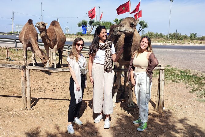 Fes to Sefrou and Bhalil Day Trip - Inclusions and Amenities