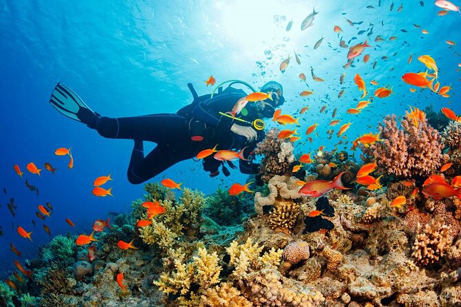 Fethiye Scuba Diving Experience By A Local Expert - Cancellation and Support