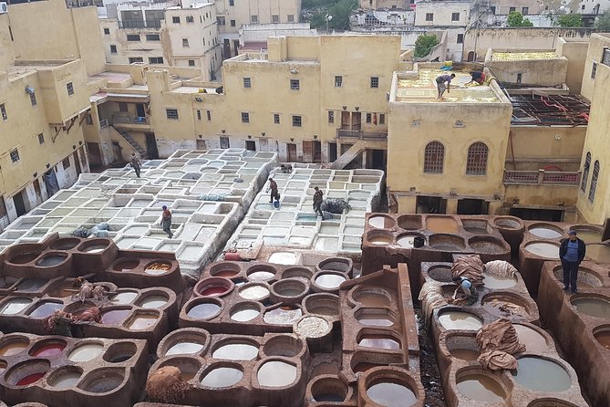 Fez Medina Walking Tour - Customer Reviews and Experiences