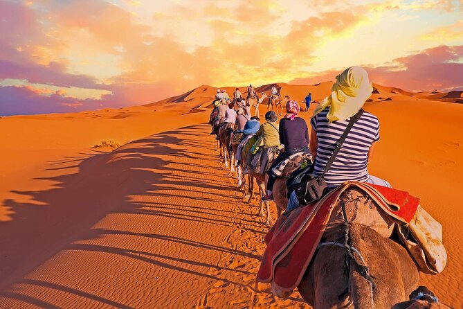 Fez to Sahara Desert Tour 3 Days 2 Nights - Accommodations and Meals
