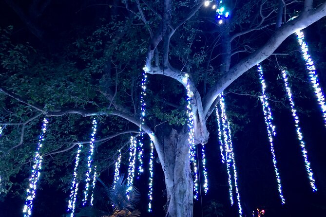Flamingo Gardens Garden of Lights - Booking and Cancellation Policy