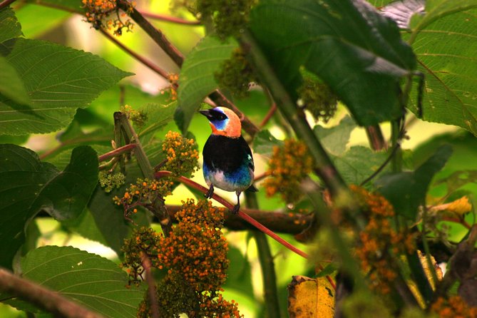 Flora and Fauna Garden at Danaus Eco-Center - Meeting and Pickup Details