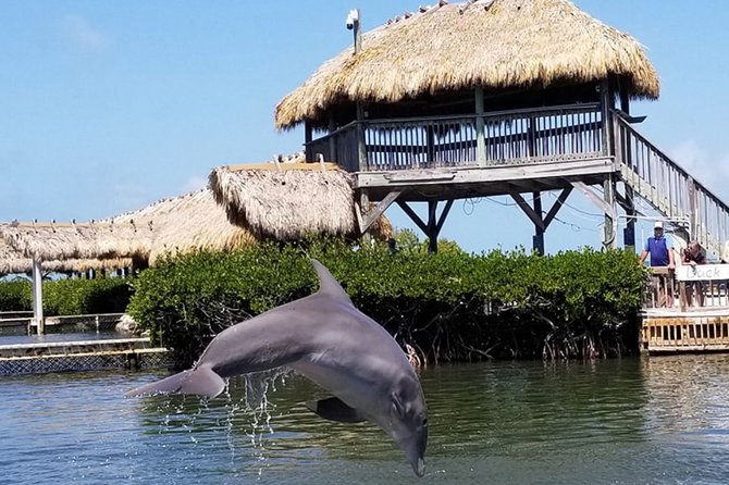 Florida Keys Tour and Private Transportation Service - Booking Process and Flexibility